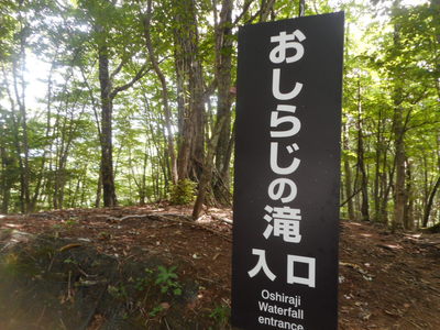 DSCN3736[1].JPG